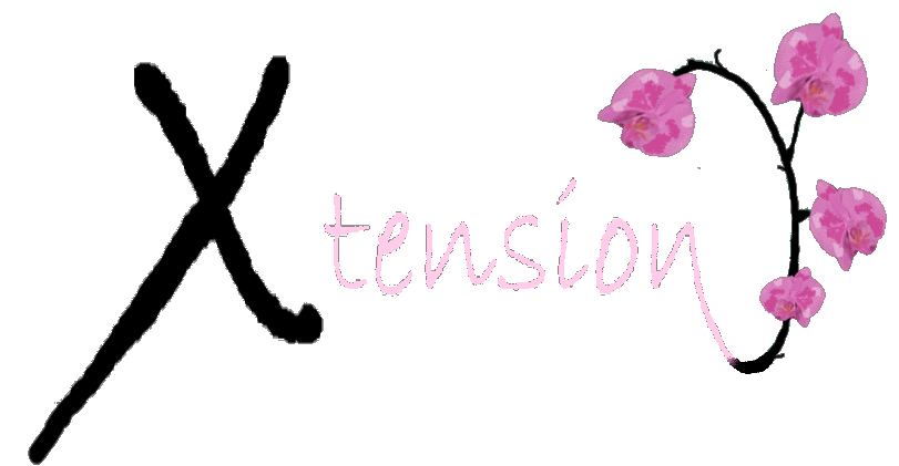 www.xtension.info